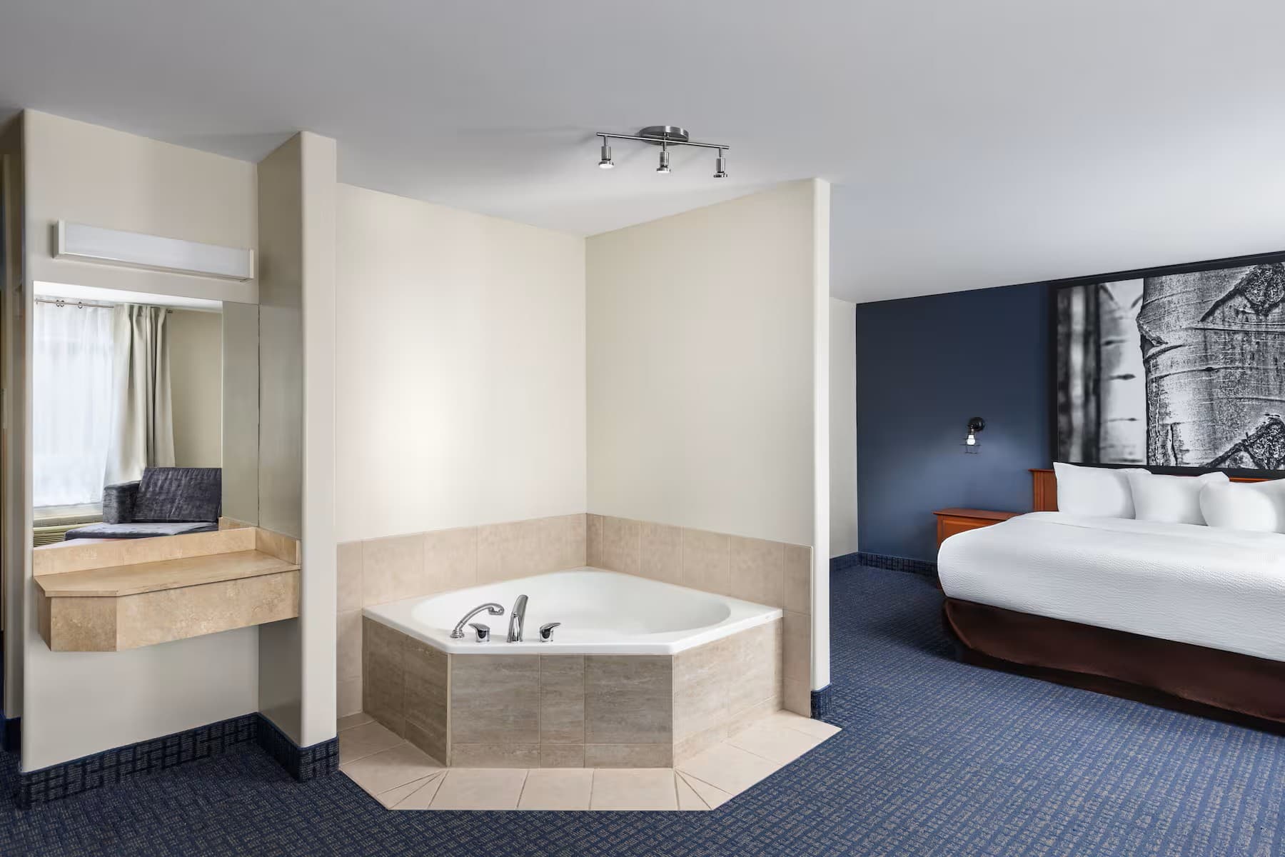 Suite De Luxe 1 lit King